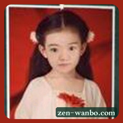 赵磊